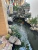 z6314467029332_134307567864d84262b7dbafa9eebf86.jpg