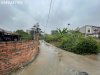 dbinh 1.jpg