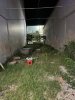 z6330967479427_1d6383b811bad902469d8c167643e221.jpg
