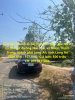z6338456642117_41f56657599102c1729be614c4b336.jpg