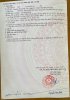 df38f162db596a073348.jpg