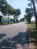 z5852986998890_f373a38a70939f9ba1e45a6cee4b2bff.jpg