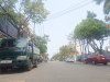 NT8t11111.jpg