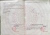 z6414174801799_5e5999f566d894da9e26e0f697e88909.jpg