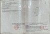 z6425149132515_27fac8575dc998db11537143b65cdfee.jpg