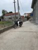 lam dien2.jpg