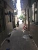 z6443585661637_966fc58039c9f1350cc26a821ac9bc0b.jpg