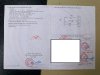 z6475845703127_e1af06f50da2af315ebbe53bd6f215ae.jpg