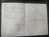 z6478697473647_42867bdd56543b1d5352d6f6d71dee68.jpg