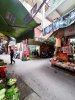 NguyenCao_ngo anh2.jpg