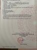 nghia lai a duy.jpg