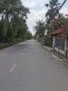 thanh xuan 52 tai 3.jpg