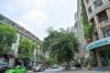 my dinh_he thong cay xanh.jpg