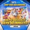 upload_2025-5-4_17-55-28.jpeg