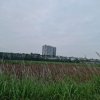 tin 060725 (12).jpg