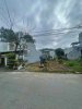 IMG_0815.jpeg