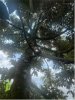 z6932966232913_524cf560f245229480952462cf9d8c36.jpg