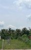 z6988332365013_7ec1631883facbe597a0f7f3a662e2d1.jpg