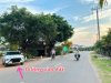 z7066771699373_da5c59eef189bc3db9723028a76fce42.jpg