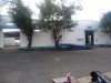 z7122904930704_74e8ea17c4f25321686853af5f7e7f5f.jpg