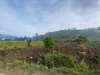 8ca4bb62dd8650d80997.jpg