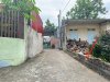 z7195187583622_f741cb6cdf828a33753f0365d347fa22.jpg