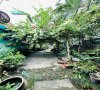 ban-nha-gan-vincom-di-an-linh-xuan-ql1k (7).jpg