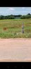 z7239862511074_891794799c2ebe60a2c84cf4494e11e9.jpg