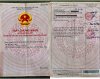 z7265371569690_f1381a3f91928c9a7e00ce0c3b827bd6.jpg