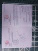 z7370390539920_b31e912aef933bde6127e5ff5bf8b7f1.jpg