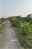 1766726717_191adbc3.jpg