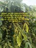 z7390846822923_3155cf101363cdfde001b4bd79d4dc.jpg