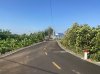 z6134788787906_a80f732e2fd2be1b18b34f853f7b99e5.jpg