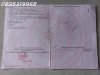 f47f8a05-45fc-4b27-af10-90b4a997a524.jpg