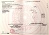 0928dcaf8fe201bc58f3.jpg