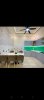 z7455871625364_0f46fc379b1c614b4afdab50ae152d6c.jpg