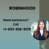 robin 270 8.jpeg