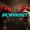 forum - mcwvnnet.png