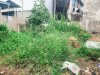 5d9dea2e753fec5f576d7d29fcde190f.md.jpg